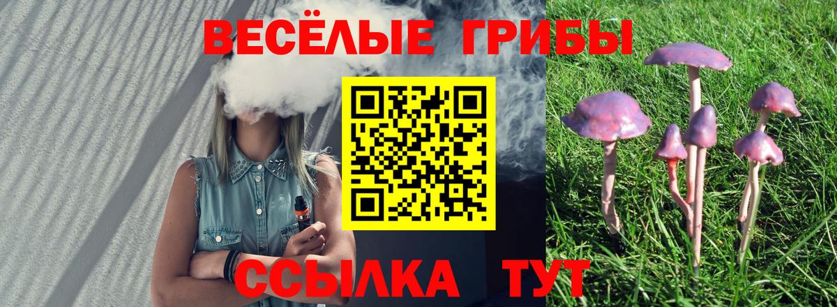 Галлюциногенные грибы ЛСД Калуга