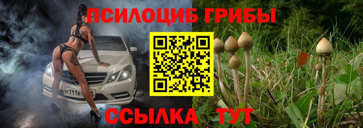 магазин    Псилоцибиновые грибы Magic Shrooms  Вход с VPN  Калуга 